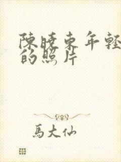 陈晓东年轻时候的照片