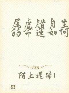 属虎腊月生出生的命运如何封面