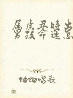 属虎丑时出生的男孩命运怎么样封面