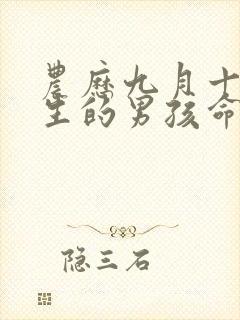 农历九月十六出生的男孩命运封面