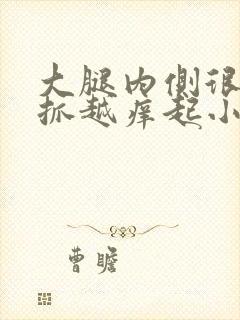 大腿内侧很痒越抓越痒起小疙瘩