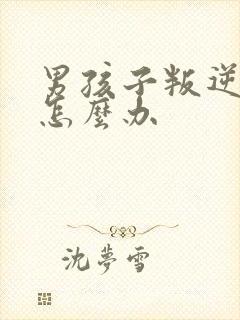 男孩子叛逆家长怎么办