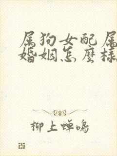 属狗女配属羊男婚姻怎么样