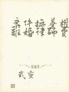 案件抚养权诉讼离婚律师费