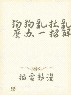 狗狗乱拉乱尿怎么办一招解决