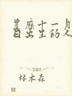 农历十一月十三日出生的人命运封面