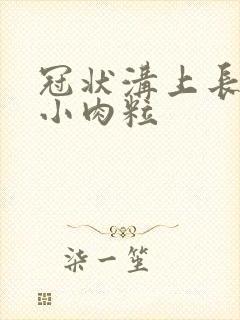 冠状沟上长一排小肉粒