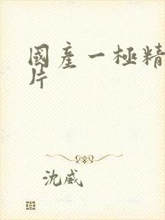 国产一极精品淫片