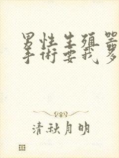 男性生殖器延长手术要我多少钱