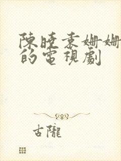 陈晓袁姗姗主演的电视剧