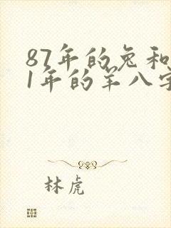 87年的兔和91年的羊八字合吗