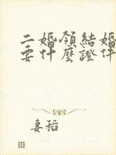 二婚领结婚证需要什么证件