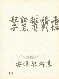 起诉离婚两个孩子怎么判抚养权