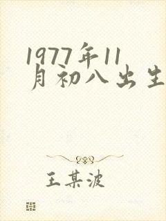 1977年11月初八出生的命运