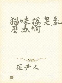 猫咪总是乱尿怎么办啊