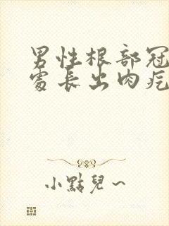 男性根部冠状沟处长出肉疙瘩封面