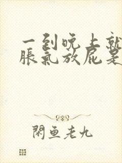 一到晚上就肚子胀气放屁是什么原因封面