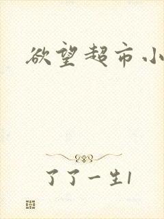 欲望超市小说