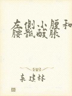 左侧小腹和左侧腰骶酸胀