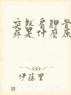 突然肩胛骨后背疼是什么原因引起的