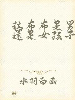 拉布布是男孩子还是女孩子