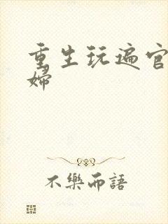 重生玩遍官场贵妇