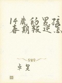 14岁的男孩青春期叛逆怎么办