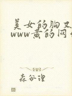 美女的胸又大又www黄的网站