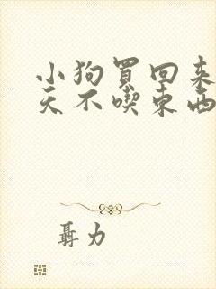 小狗买回来第二天不吃东西