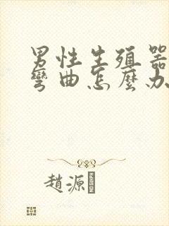 男性生殖器向下弯曲怎么办