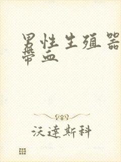 男性生殖器精液带血封面