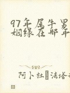 97年属牛男的姻缘在哪年