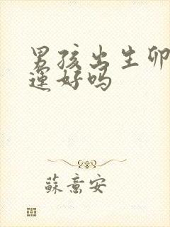 男孩出生卯时命运好吗