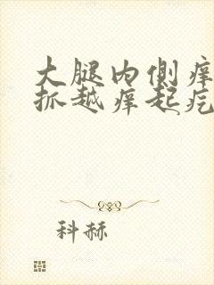 大腿内侧痒痒越抓越痒起疙瘩的怎么回事