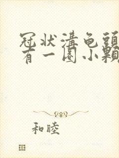 冠状沟龟头边缘有一圈小颗粒