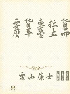 要货车拉货在什么平台上面找车