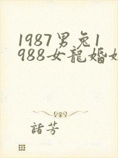 1987男兔1988女龙婚姻相配吗