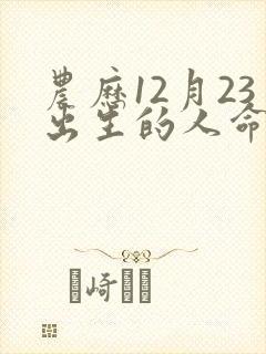 农历12月23出生的人命运