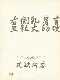 右侧乳房有个黄豆粒大的硬块疼痛