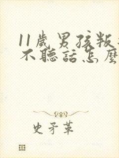 11岁男孩叛逆不听话怎么办