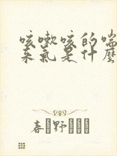 咳嗽咳的喘不过来气是什么原因