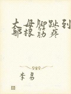 大母脚趾到膝盖那根筋疼