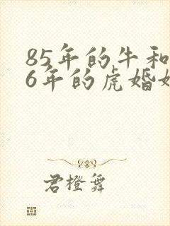 85年的牛和86年的虎婚姻怎样