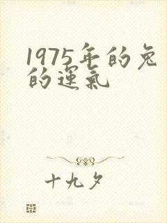 1975年的兔的运气封面