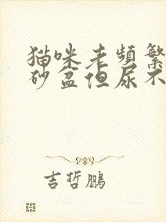 猫咪老频繁去猫砂盆但尿不出