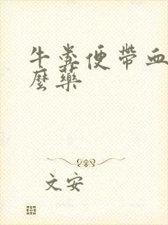 牛粪便带血用什么药