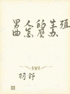 男人的生殖器弯曲怎么办