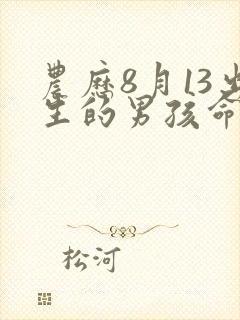 农历8月13出生的男孩命运
