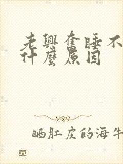 老兴奋睡不着觉什么原因封面