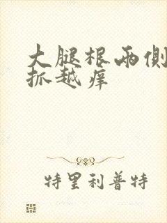 大腿根两侧痒越抓越痒